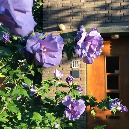 Eikenburg Bed & Breakfast *