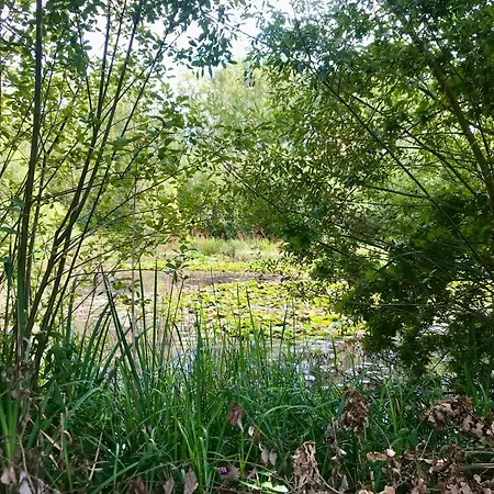 Eikenburg Bed and Breakfast Αϊντχόφεν