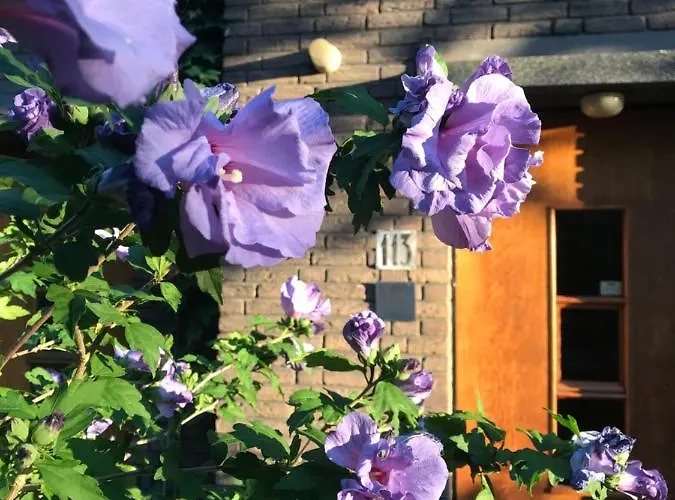 Eikenburg Bed and Breakfast 3*