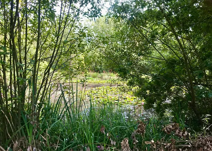 Eikenburg Bed & Breakfast Eindhoven