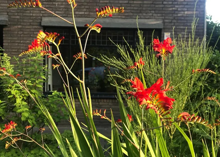 Eikenburg Bed and Breakfast 3*