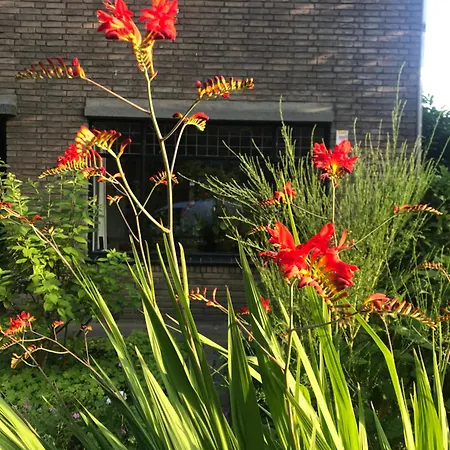 Eikenburg Couette-café 3*