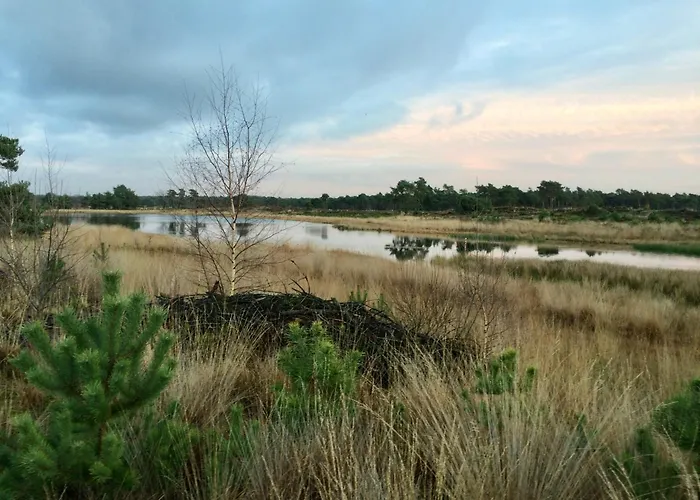 Couette-café Eikenburg